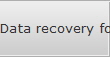 Data recovery for Firms data