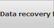 Data recovery for Firms data